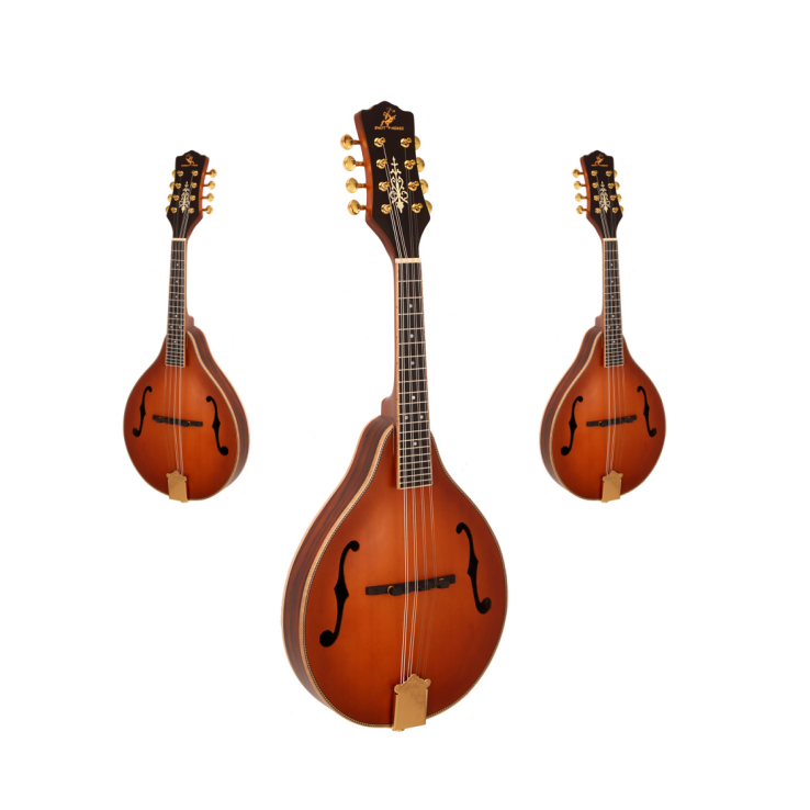 Musical Instrument Mandolin - 핫 세일 클래식 8현 악기 무광