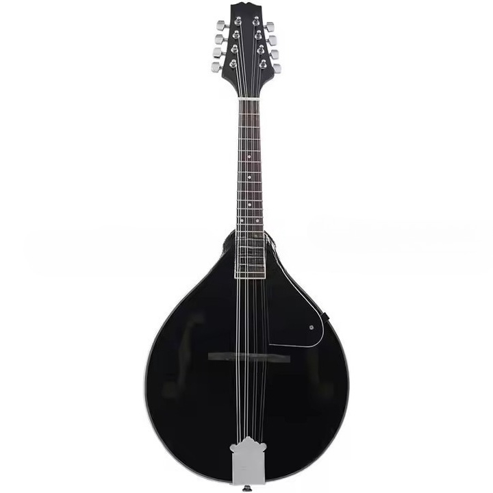 Musical Instrument Mandolin - 티베트 민족 악기 만돌린 플럭형 악기