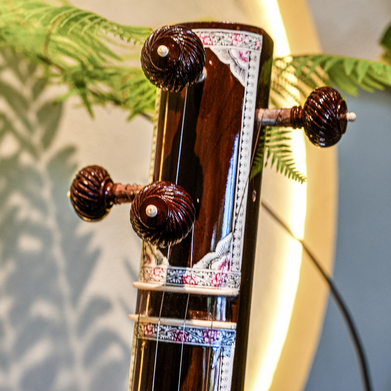 수제 시타르 인도 전통 악기 시타르 - Musical Instrument Sitar 리뷰 및 가격
