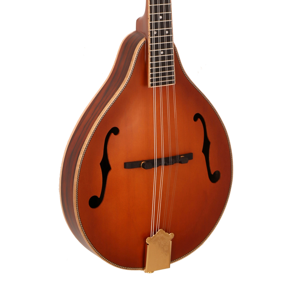 핫 세일 클래식 8현 악기 무광 마감 만돌린 스프루스  - Musical Instrument Mandolin 리뷰 및 가격