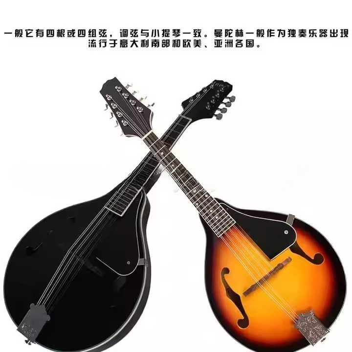 티베트 민족 악기 만돌린 플럭형 악기 린든 패널 선셋  - Musical Instrument Mandolin 리뷰 및 가격
