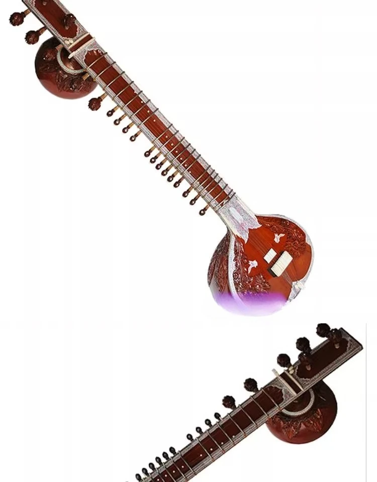 악기, 시타르, 시타르, 전문가용 하드 케이스 - Musical Instrument Sitar 리뷰 및 가격